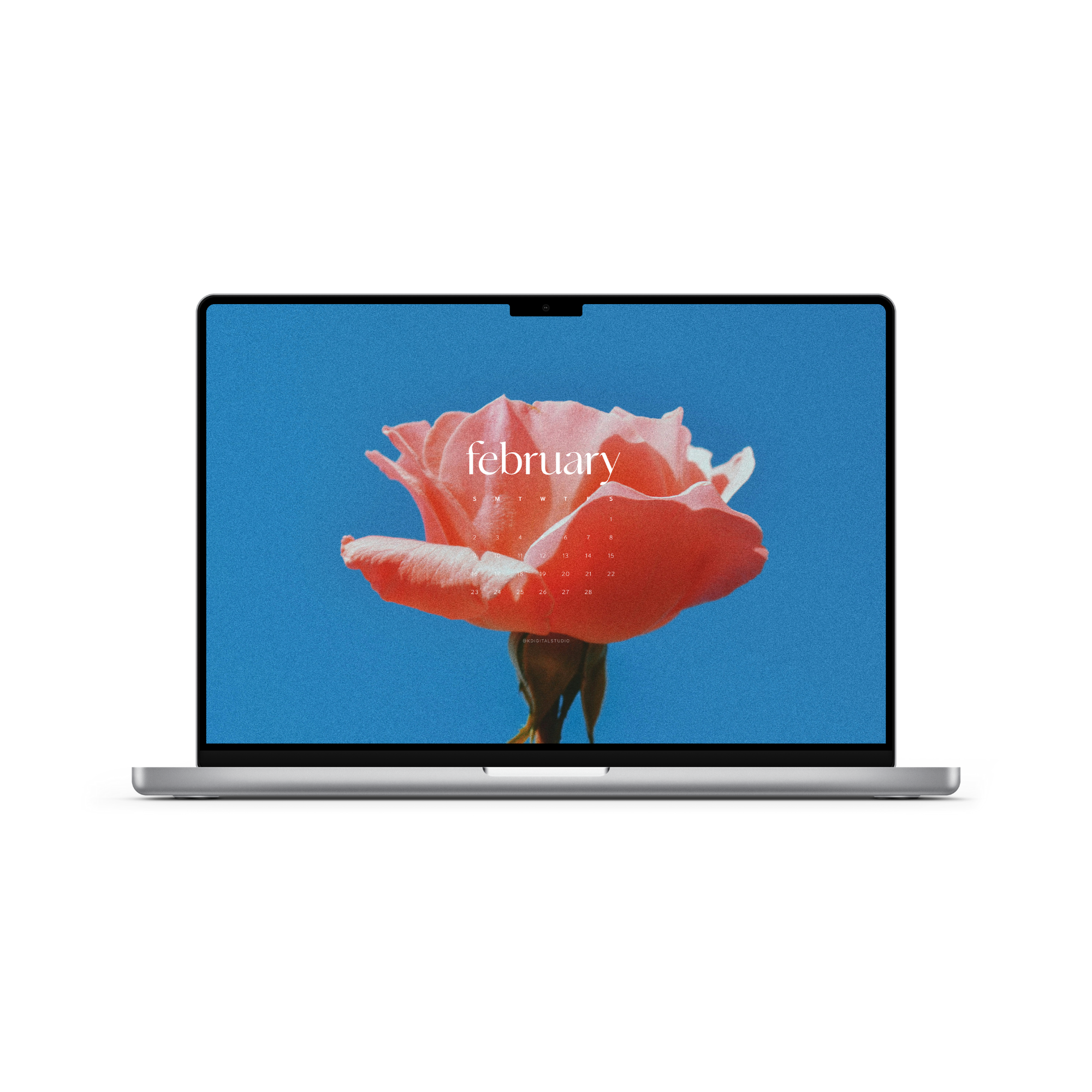 February 2025 Wallpapers