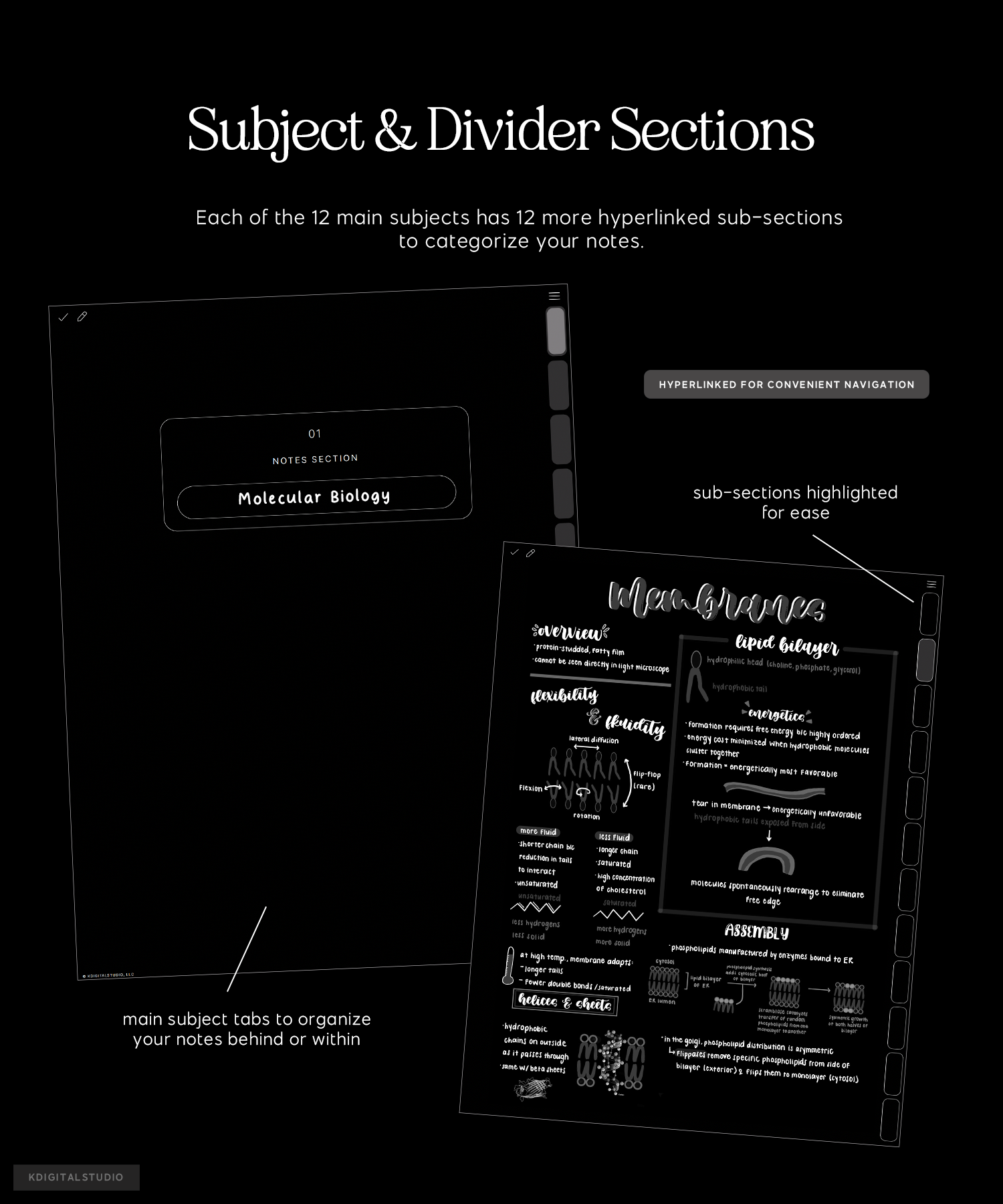 subject and divider sections in cyberry notebook