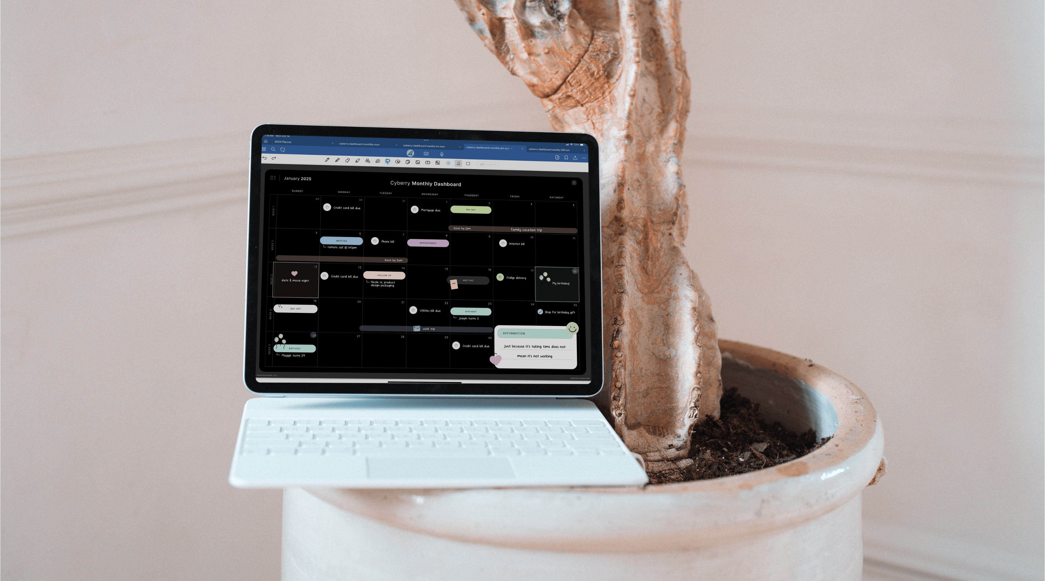 Cyberry Lite Planner