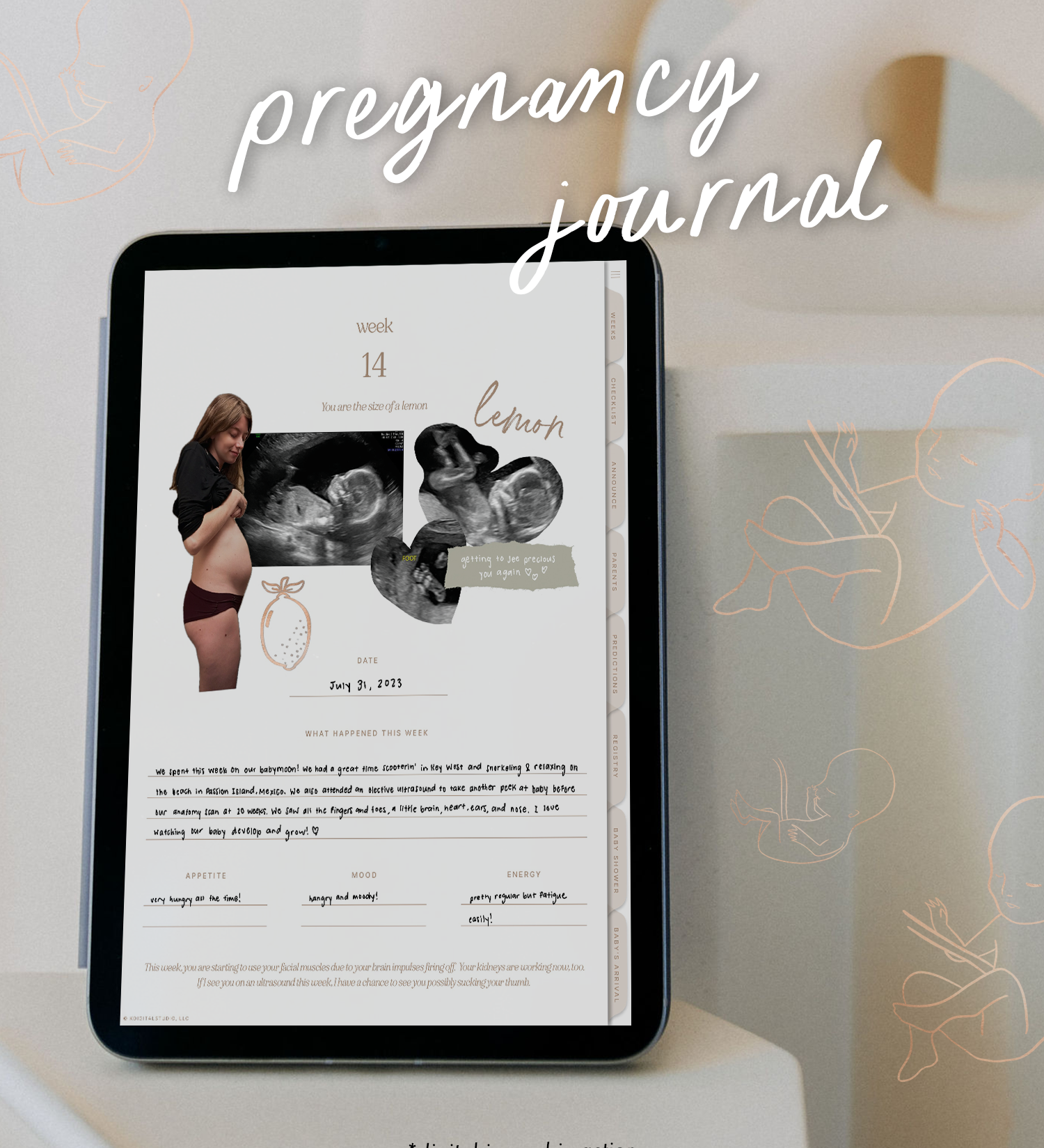 Digital pregnancy journal on iPad