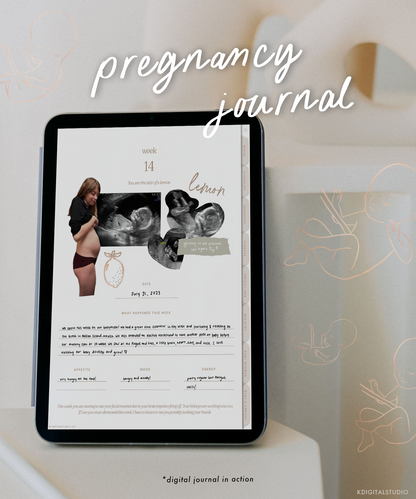 Digital pregnancy journal on iPad
