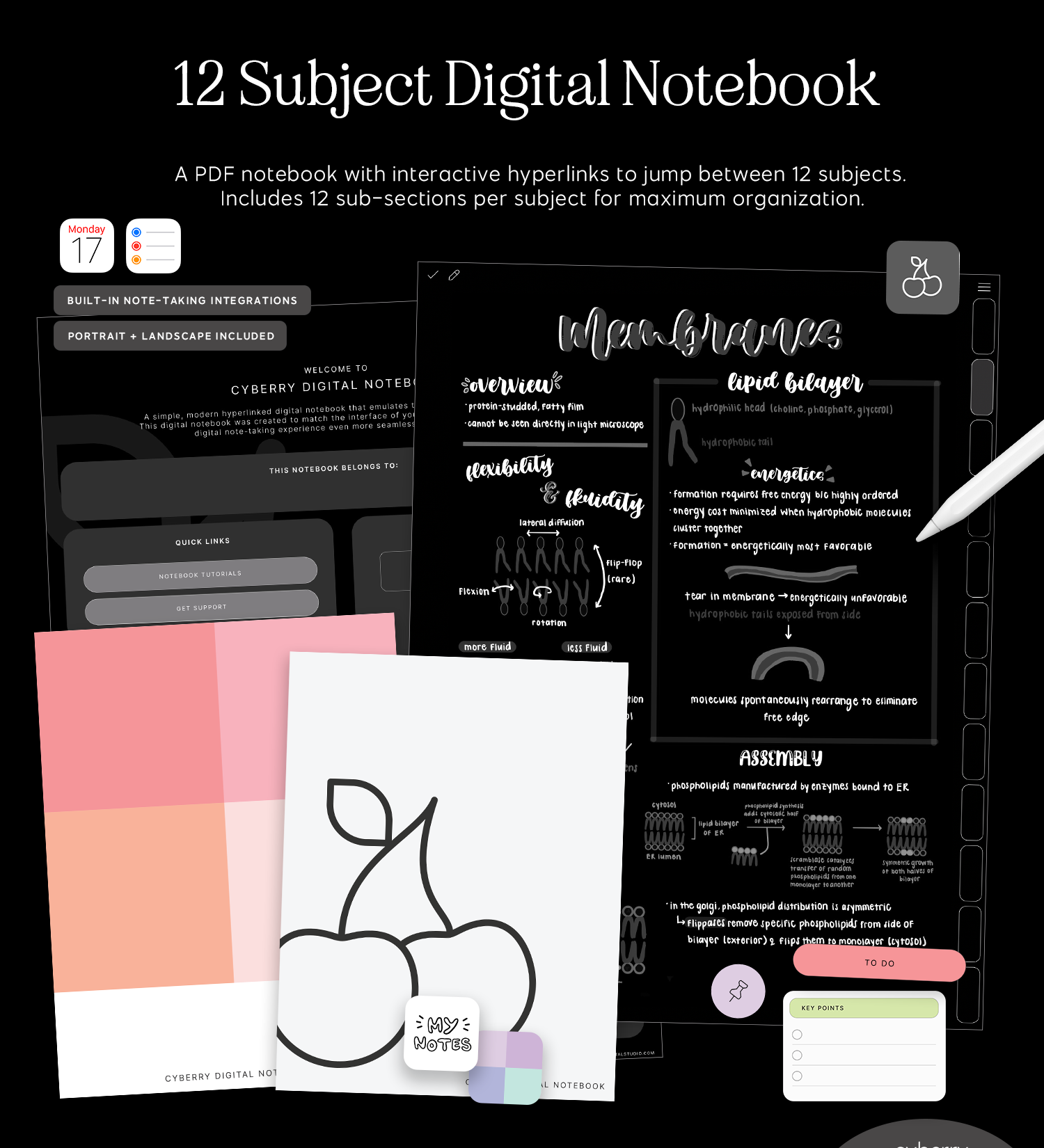 cyberry digital notebook in dark mode