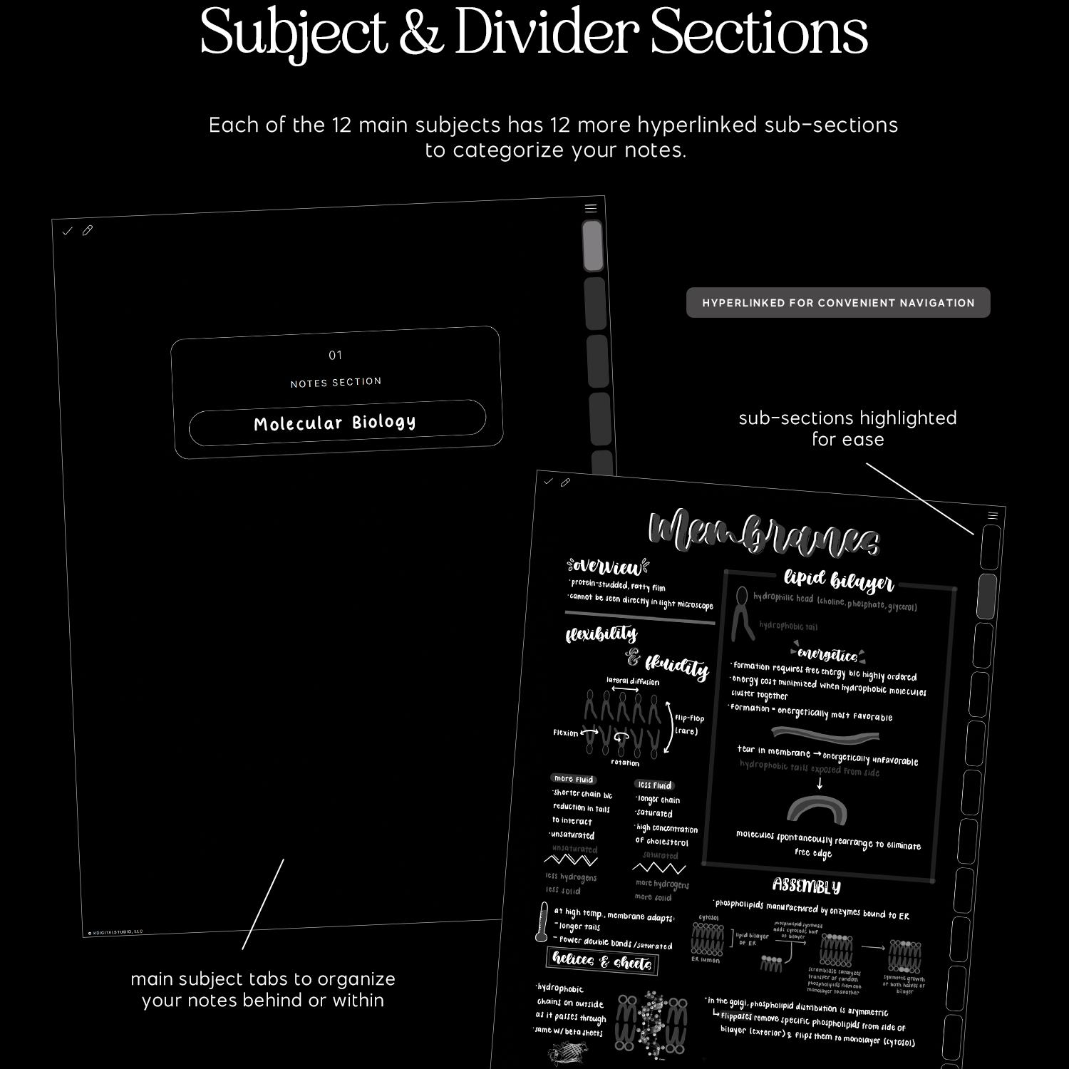 subject and divider sections in cyberry notebook