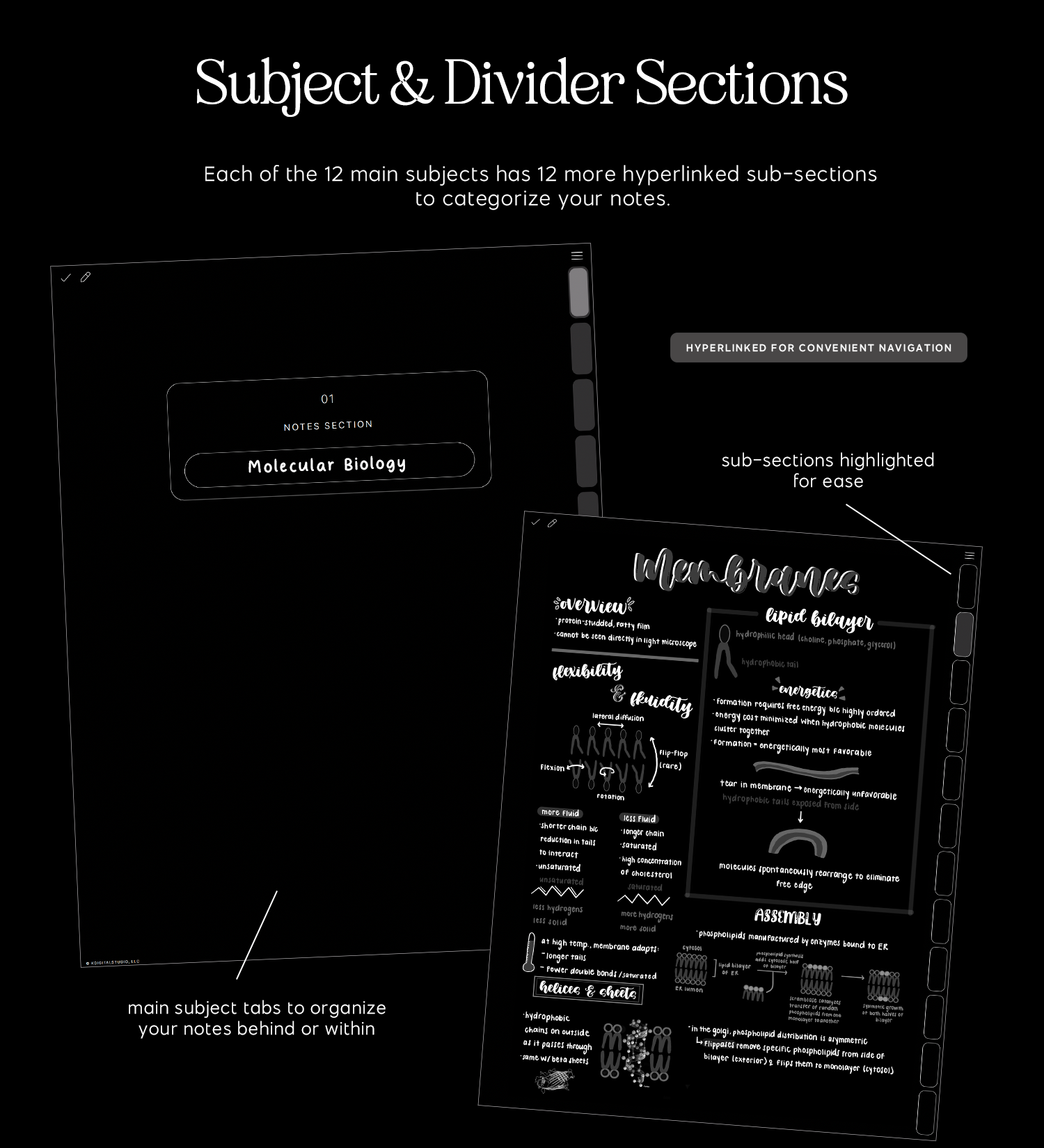 subject and divider sections in cyberry notebook