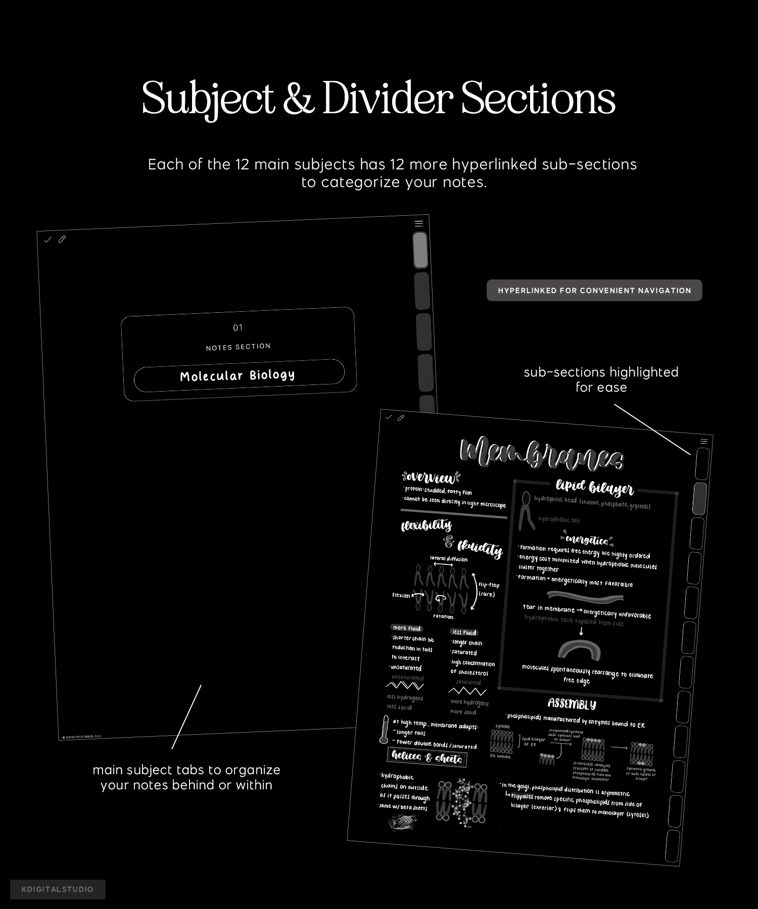 subject and divider sections in cyberry notebook