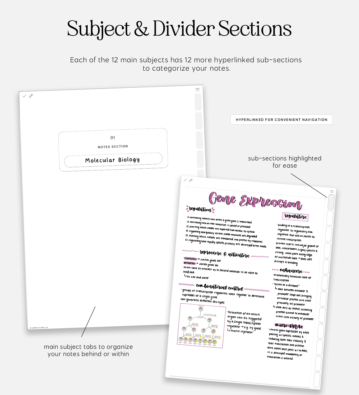 subject and divider sections in cyberry notebook