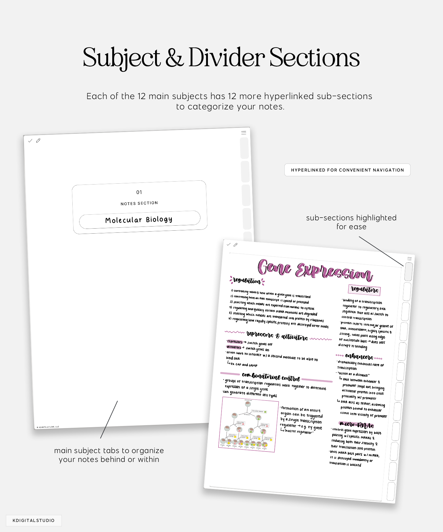 subject and divider sections in cyberry notebook