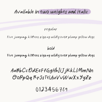 Hastily Handwritten Font Bundle