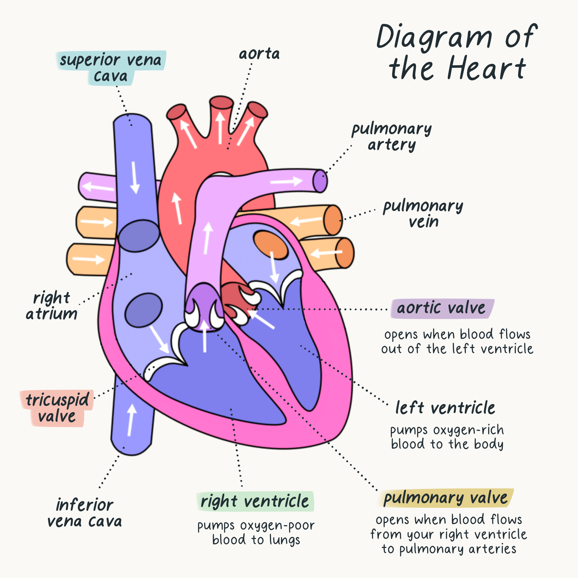 Noted Handwritten Font Bundle